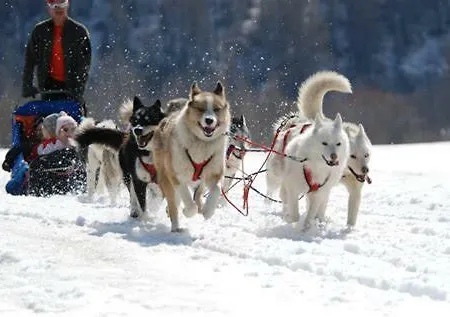 La Grande Ourse De Romeu Font-Romeu-Odeillo-Via